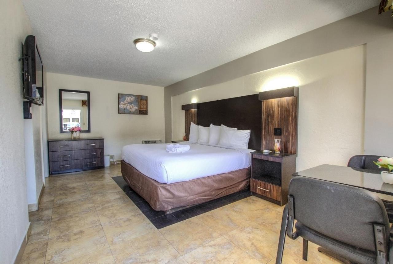 La Bella Oceanfront Inn - Daytona Daytona Beach Extérieur photo
